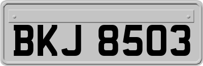 BKJ8503