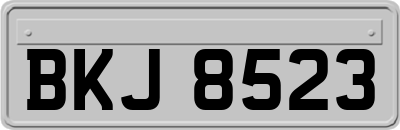 BKJ8523