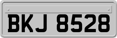 BKJ8528