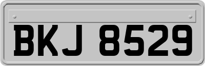 BKJ8529