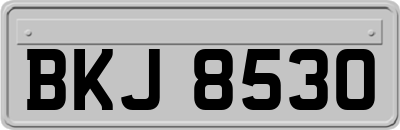 BKJ8530