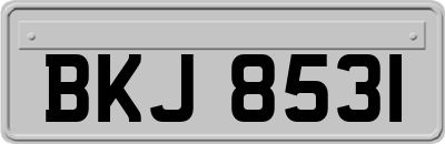 BKJ8531