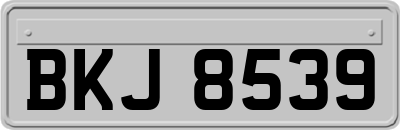 BKJ8539