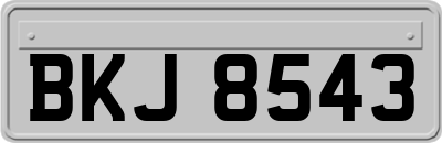 BKJ8543