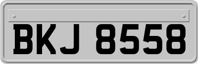 BKJ8558