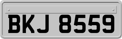 BKJ8559