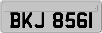 BKJ8561