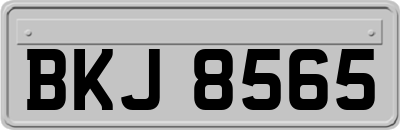 BKJ8565