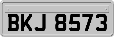 BKJ8573