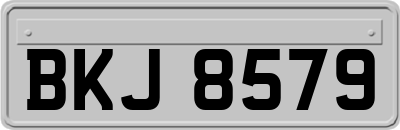 BKJ8579