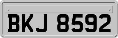 BKJ8592