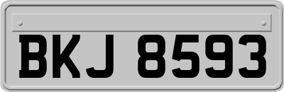 BKJ8593