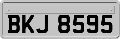 BKJ8595