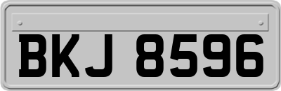 BKJ8596