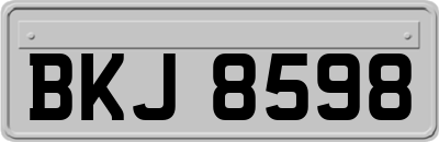 BKJ8598
