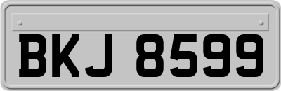 BKJ8599