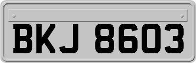 BKJ8603