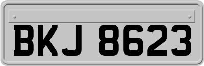BKJ8623