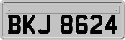BKJ8624