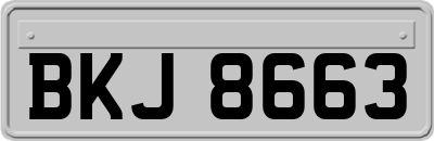 BKJ8663