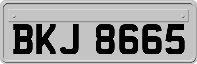 BKJ8665