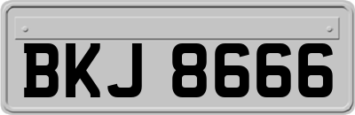 BKJ8666
