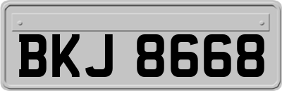 BKJ8668