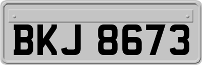 BKJ8673