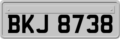 BKJ8738