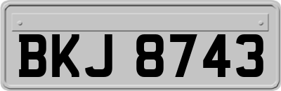 BKJ8743