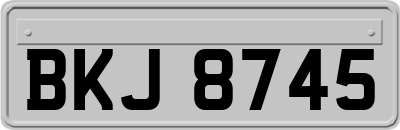 BKJ8745