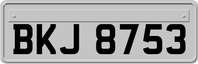 BKJ8753