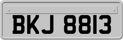 BKJ8813