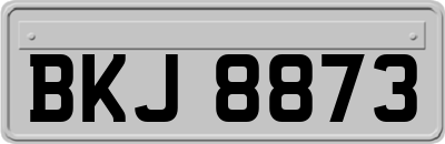 BKJ8873