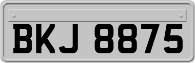 BKJ8875
