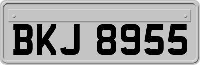 BKJ8955