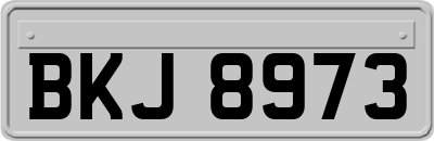 BKJ8973