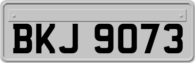 BKJ9073