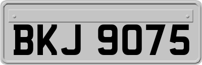 BKJ9075