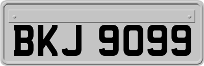 BKJ9099