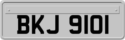 BKJ9101