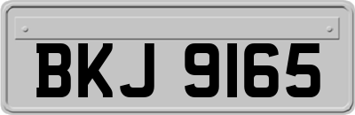 BKJ9165