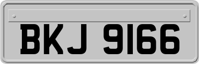 BKJ9166