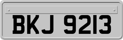 BKJ9213
