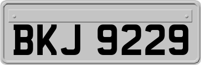 BKJ9229