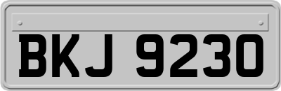 BKJ9230