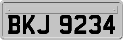 BKJ9234