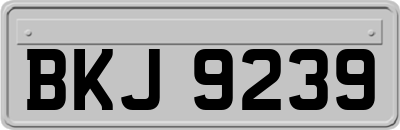 BKJ9239