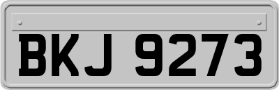 BKJ9273