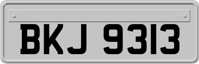 BKJ9313